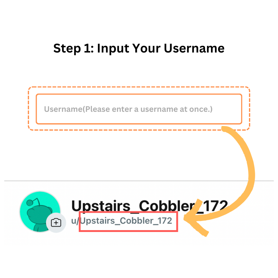 Step 1: Input Your Username - Redplus AI